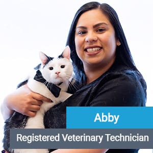 Abby, veterinary team member at Primary Care Animal Hospital Long Beach CA