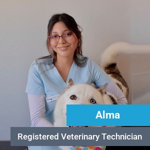 Alma, veterinary team member at Primary Care Animal Hospital in Long Beach