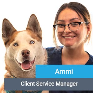 Ammi, veterinary team member at Primary Care Animal Hospital in Long Beach, CA