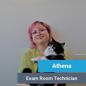 Athena, veterinary team member at Primary Care Animal Hospital in Long Beach, CA