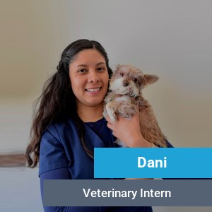Dani, veterinary team member at Primary Care Animal Hospital in Long Beach, CA