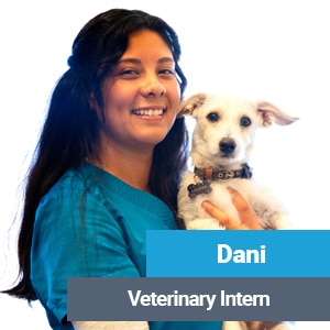 Dani, veterinary team member at Primary Care Animal Hospital in Long Beach, CA