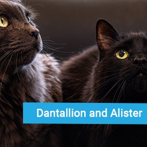 Dantallion and Alister, two happy pet patients at Primary Care Animal Hospital in Long Beach, CA