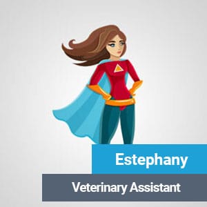 Estephany, veterinary team member at Primary Care Animal Hospital Long Beach