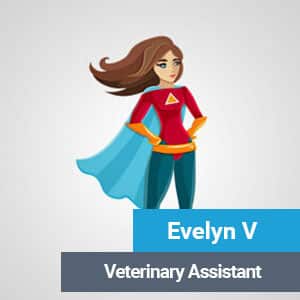 Evelyn, veterinary team member at Primary Care Animal Hospital in Long Beach, CA