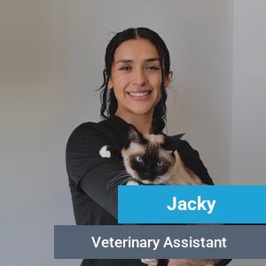 Jacky, veterinary team member at Primary Care Animal Hospital in Long Beach, CA
