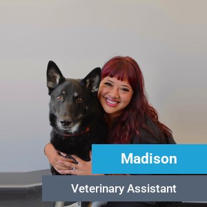 Madison, veterinary team member at Primary Care Animal Hospital in Long Beach, CA