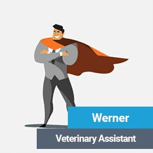 Werner, veterinarian at Primary Care Animal Hospital in Long Beach, CA