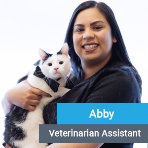 Abby, veterinary team member at Primary Care Animal Hospital in Long Beach, CA