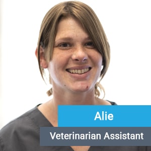 Alie, veterinary team member at Primary Care Animal Hospital in Long Beach, CA