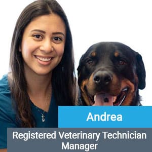Andrea, veterinary team member at Primary Care Animal Hospital in Long Beach