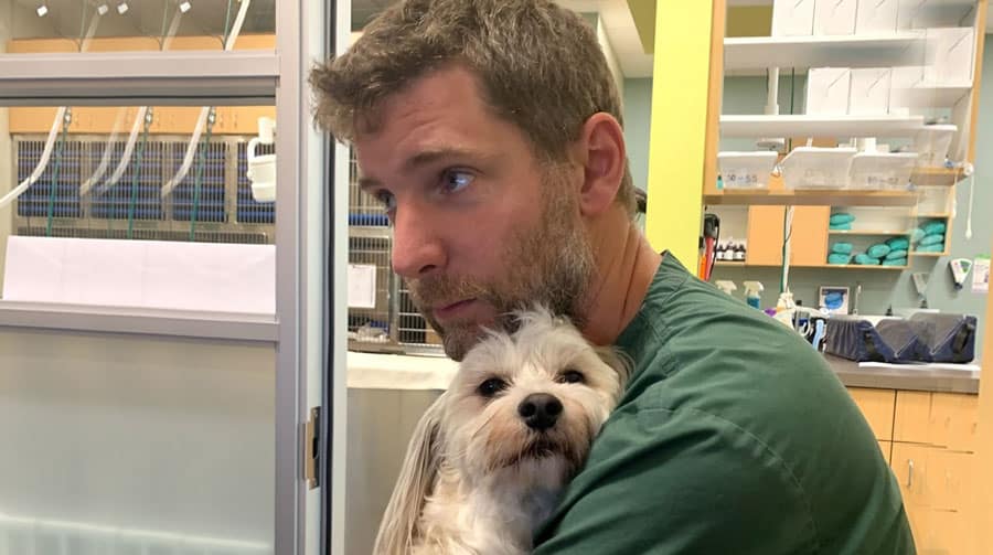 Veterinary pain management treatment for pets at Primary Care Animal Hospital in Long Beach