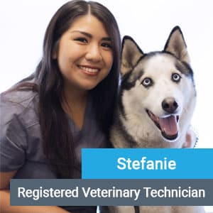 Stefanie, veterinary team member at Primary Care Animal Hospital in Long Beach, CA