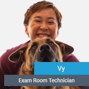 Vy, veterinary team member at Primary Care Animal Hospital in Long Beach