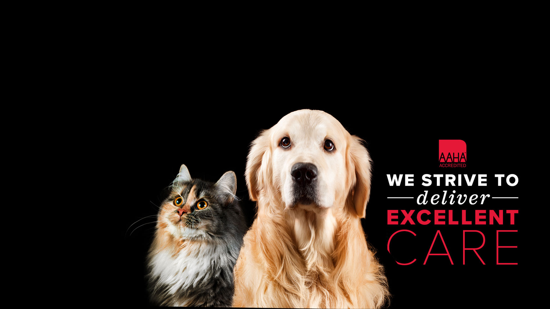 AAHA - Vet In Long Beach | Primary Care Animal Hospital